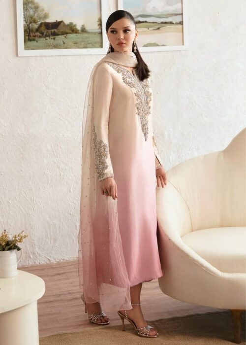 Saanjh Mist Handwork Kurta Set Dual Shade
