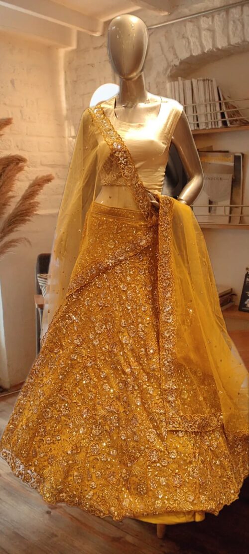 Golden Glow Net Lehenga